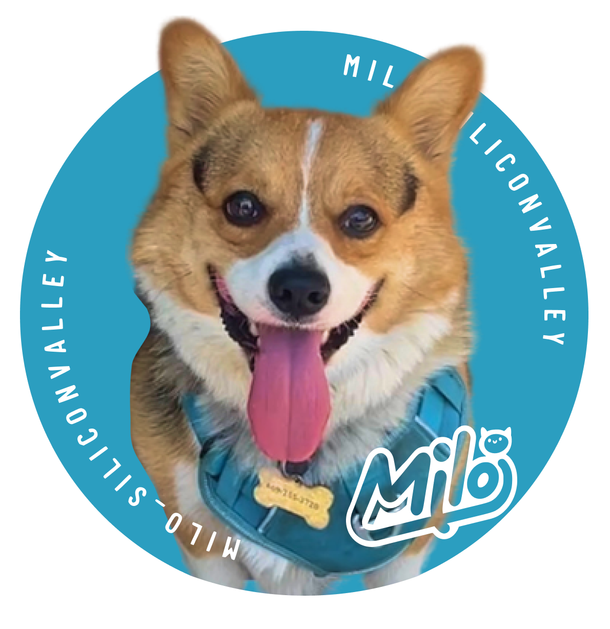 1728635020479.Milo logo